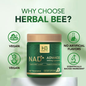 Détail des capsules Herbal Bee Liposomal NAD+ 500 mg
