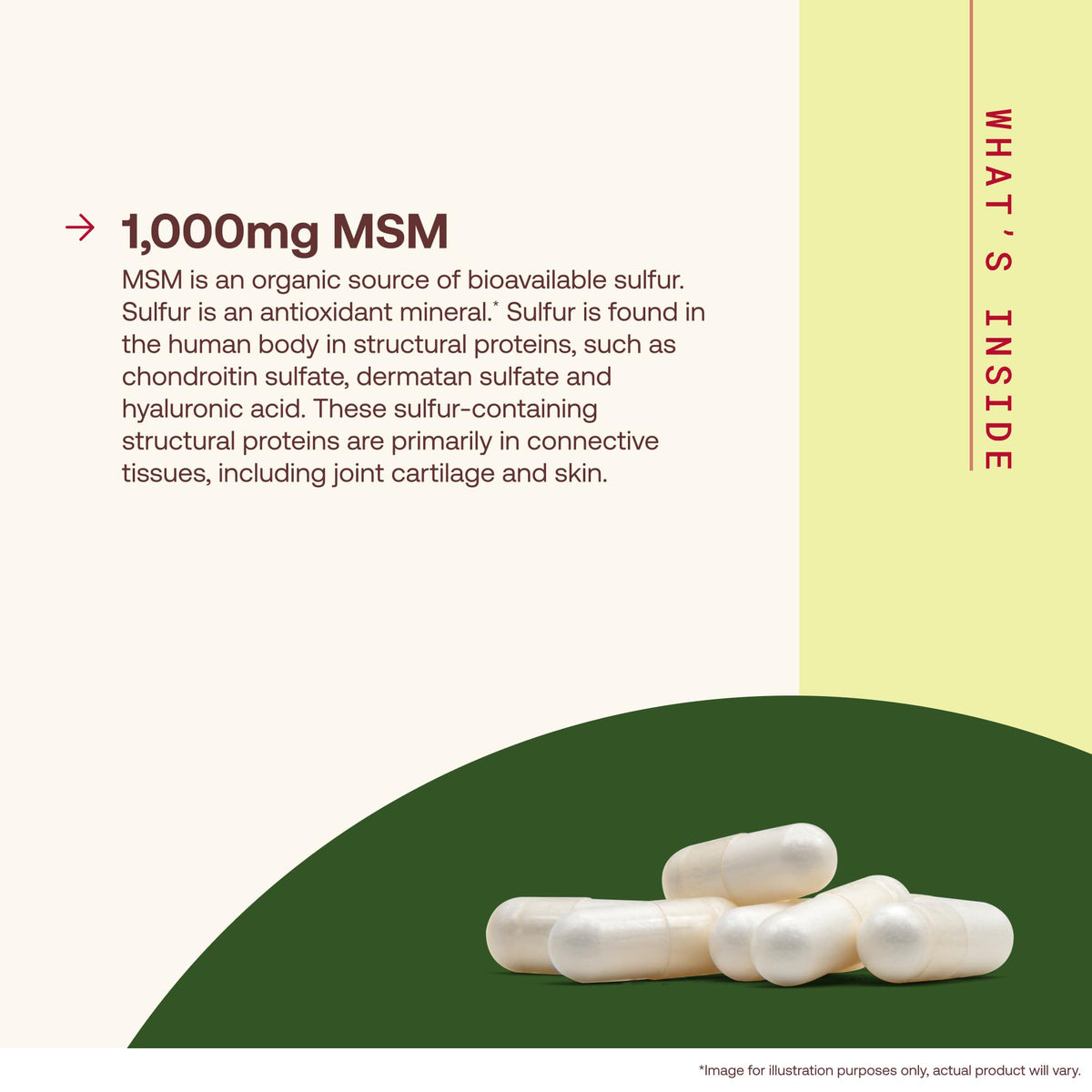 Détail des capsules Jarrow Formulas MSM 1000 mg avec étiquette