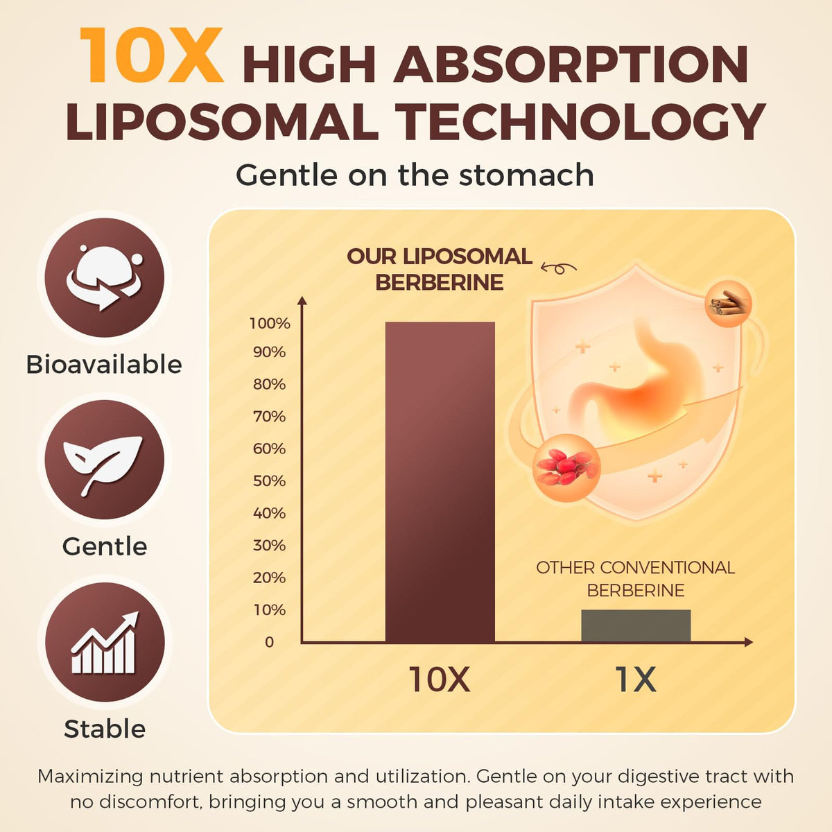 Détail des capsules Liposomal Berbérine sur une surface blanche