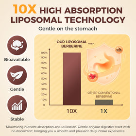 Détail des capsules Liposomal Berbérine sur une surface blanche