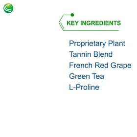 Détail des capsules Monolaurin Nutra BioGenesis