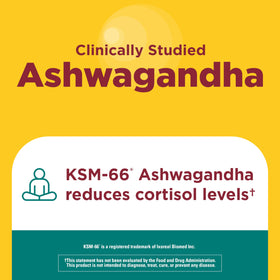 Détail des capsules Nature Made Ashwagandha KSM 66