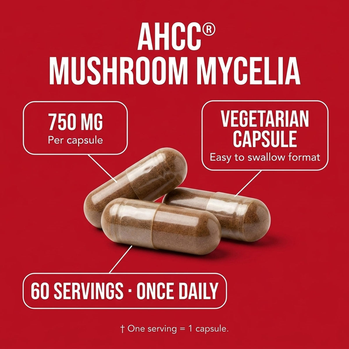 Détail des capsules Olympian Labs AHCC 750mg