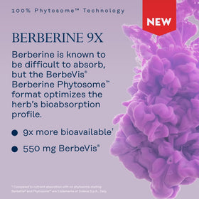Détail des capsules SOLARAY Berberine Phytosome avec étiquette