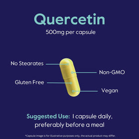 Détail des capsules végétales BESTVITE Quercetin 500mg