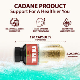 Détail des capsules végétales Organic Cadane Triphala