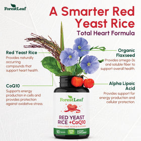 Détail des capsules végétales Riz Rouge 1215 mg de ForestLeaf