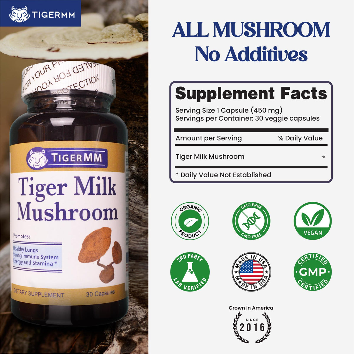 Détail des capsules végétales TIGERMM Champignon Lait de Tigre