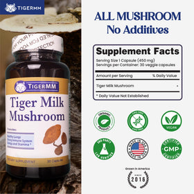 Détail des capsules végétales TIGERMM Champignon Lait de Tigre