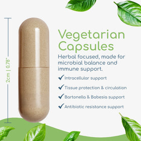 Détail des capsules végétariennes de Return Healthy Concentré de Cryptolepis