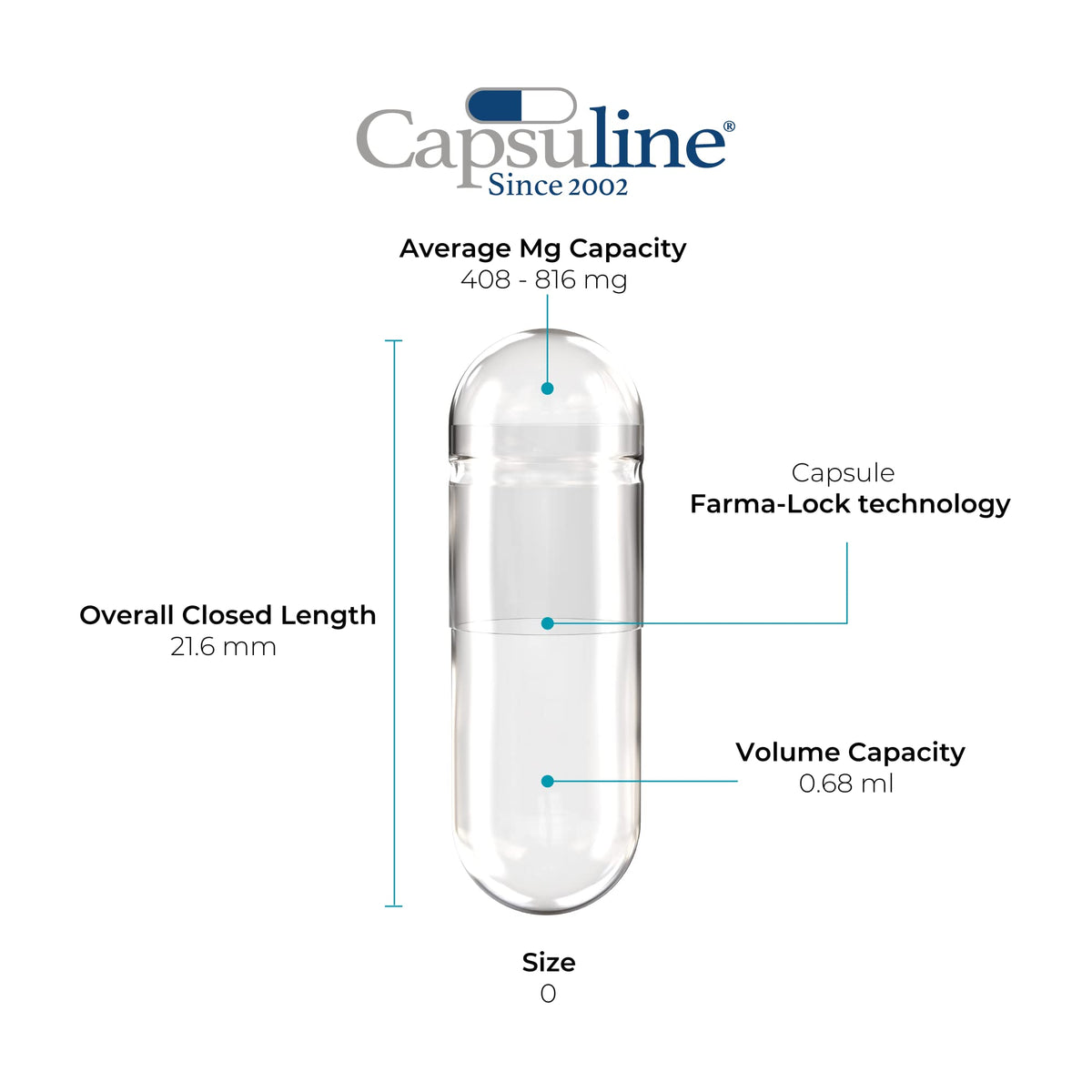 Détail des capsules vides Capsuline taille 0 avec gélatine transparente