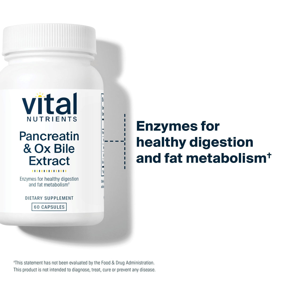 Détail des capsules Vital Nutrients Pancreatin & Ox Bile Extract