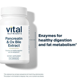 Détail des capsules Vital Nutrients Pancreatin & Ox Bile Extract