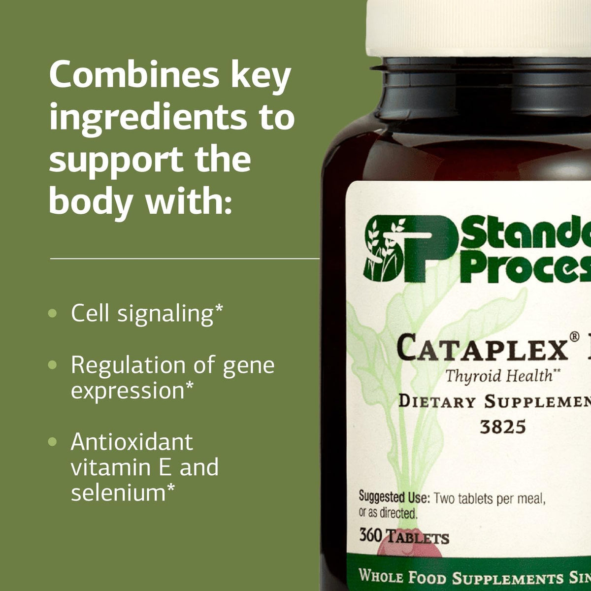 Détail des comprimés de Standard Process Cataplex E