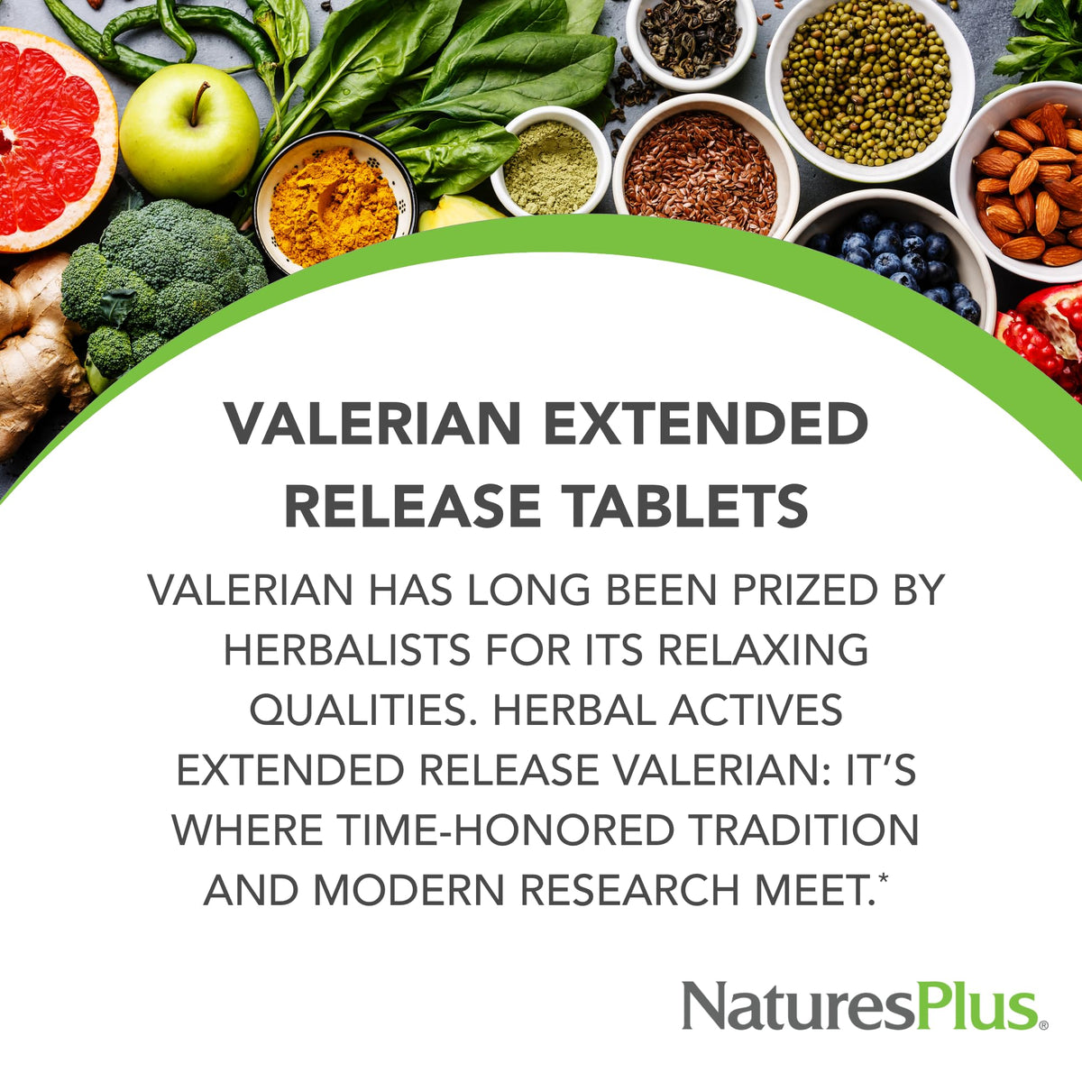 Détail des comprimés NaturesPlus Valériane, format libération prolongée