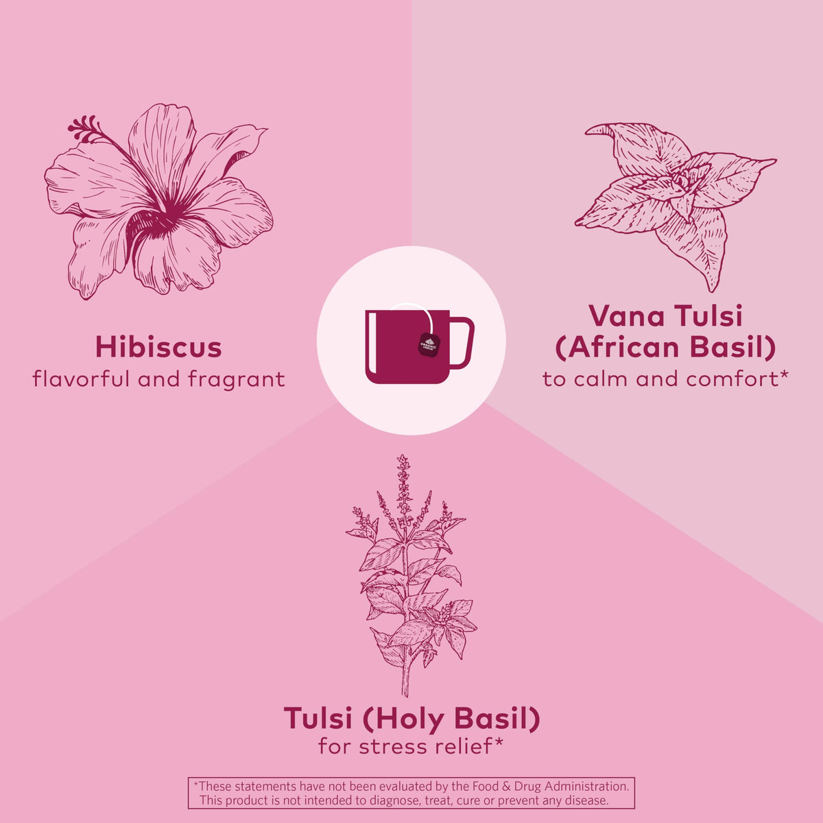 Détail des feuilles de Tulsi dans le thé ORGANIC INDIA