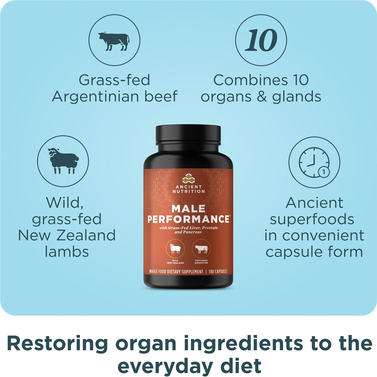 Détail des gélules Ancient Nutrition en vue rapprochée