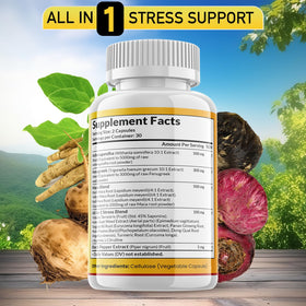 Détail des gélules Ashwagandha Maca Fenugrec de JB Wellness Co