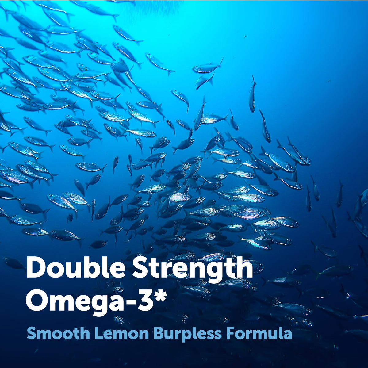 Détail des gélules d'huile de poisson Omega 3 Micro Ingredients