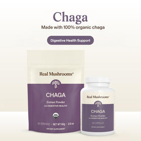 Détail des gélules de Chaga Bio avec étiquette