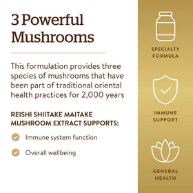 Détail des gélules de champignons Solgar