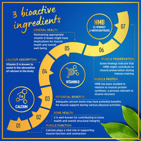 Détail des gélules de HMB et Vitamine D3
