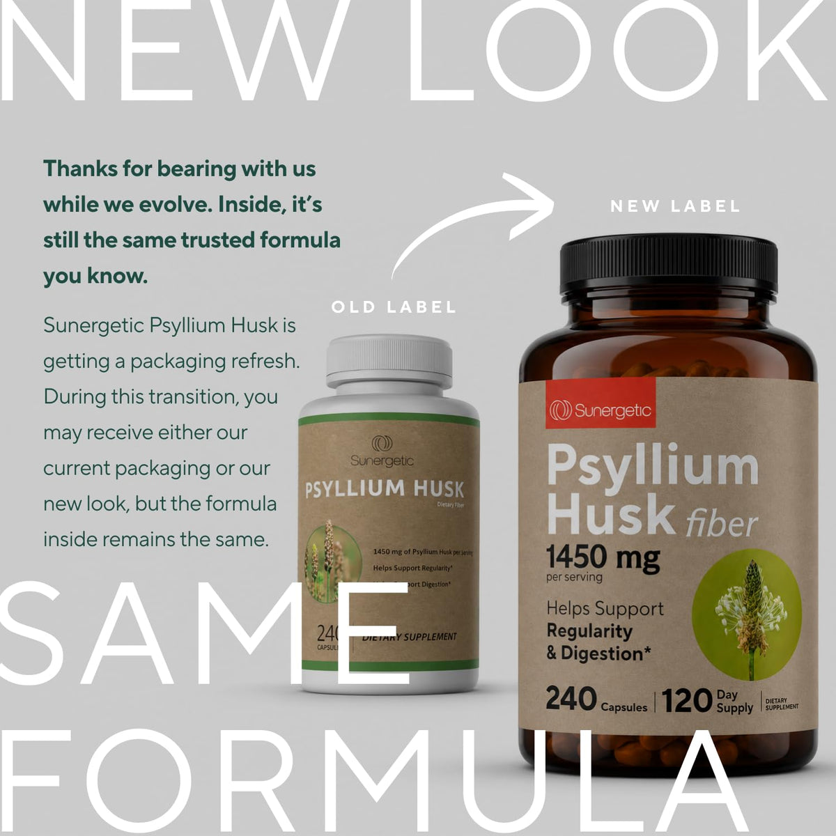 Détail des gélules de psyllium Sunergetic