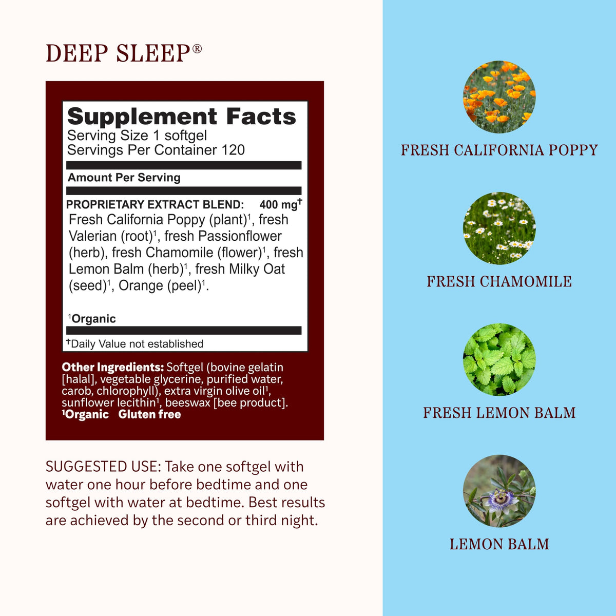 Détail des gélules de sommeil Herbs Etc. sur une table