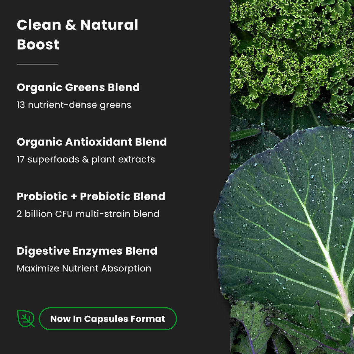 Détail des gélules de Super Aliments Verts Bio NutraChamps