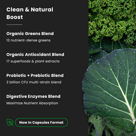 Détail des gélules de Super Aliments Verts Bio NutraChamps