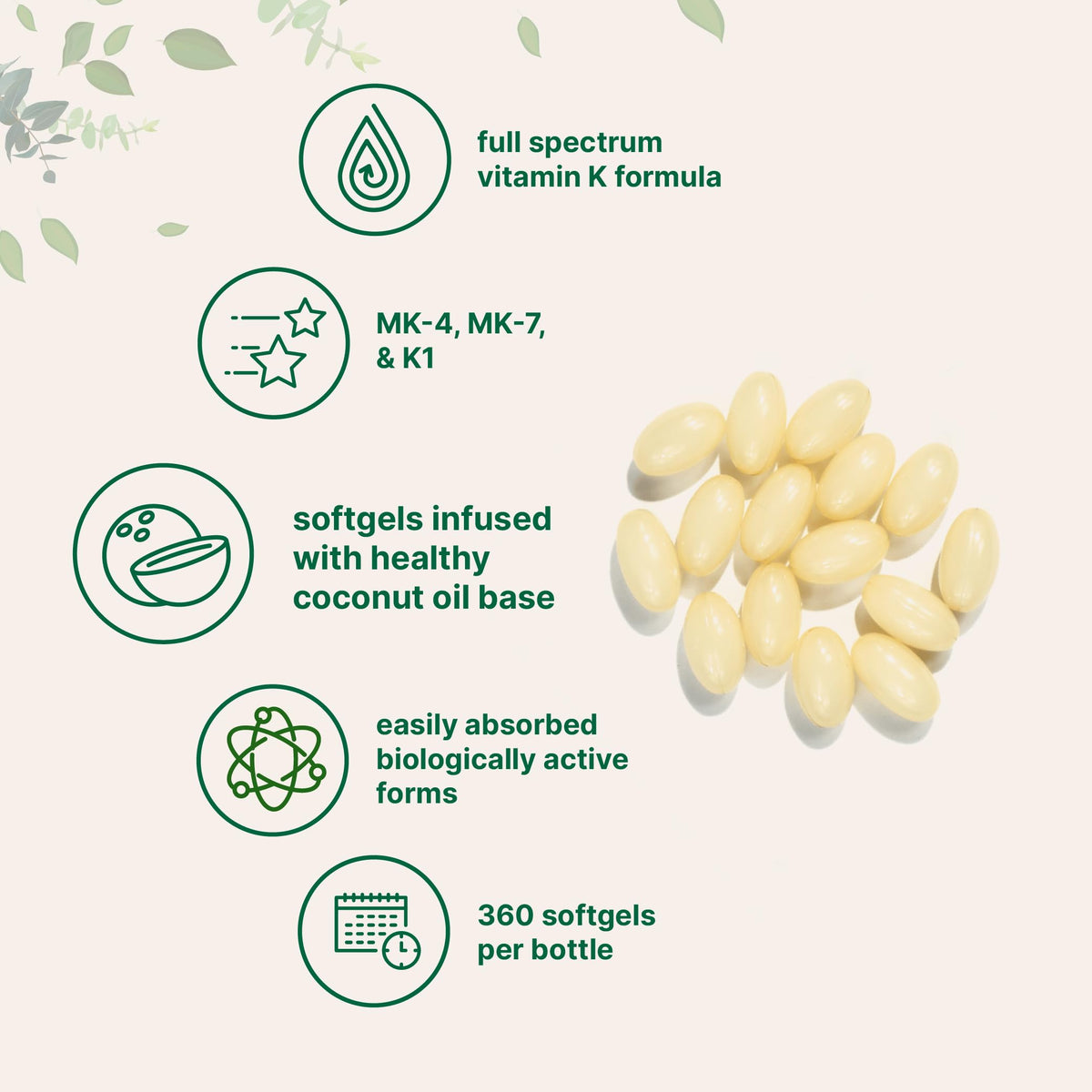 Détail des gélules de vitamine K Micro Ingredients et leur composition