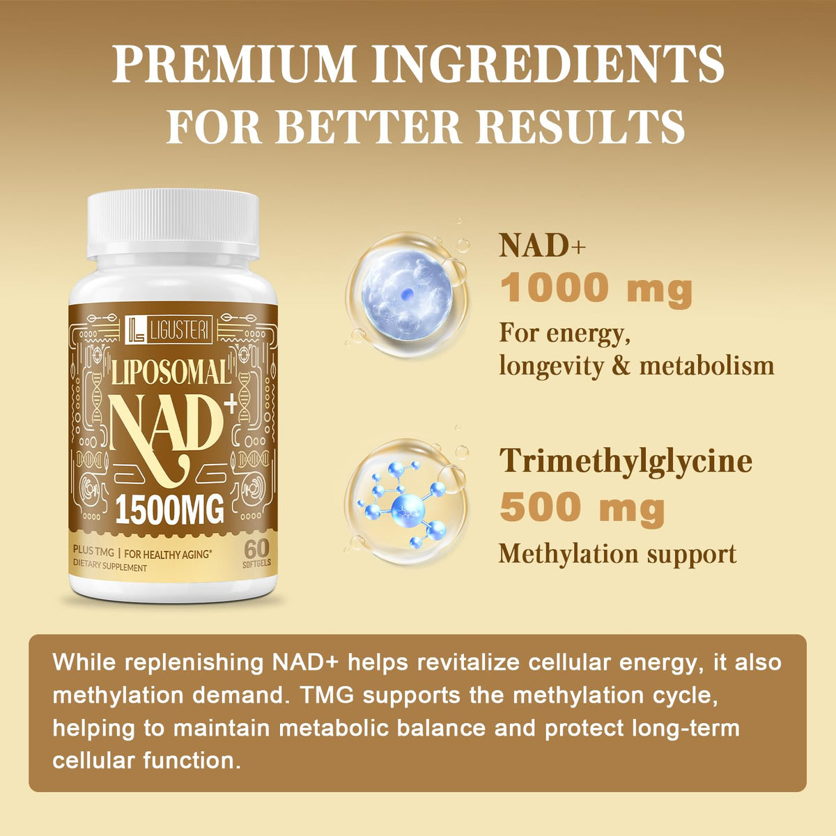 Détail des gélules molles Rhameph LIGUSTERI 1500 MG NAD+