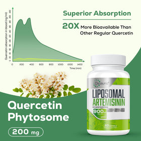 Détail des gélules Osasuna Artémisinine 600 mg