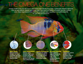 Détail des granulés de cichlidés Omega One