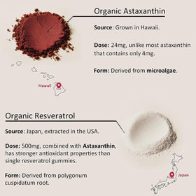 Détail des gummies Astaxanthine 24mg avec texture visible