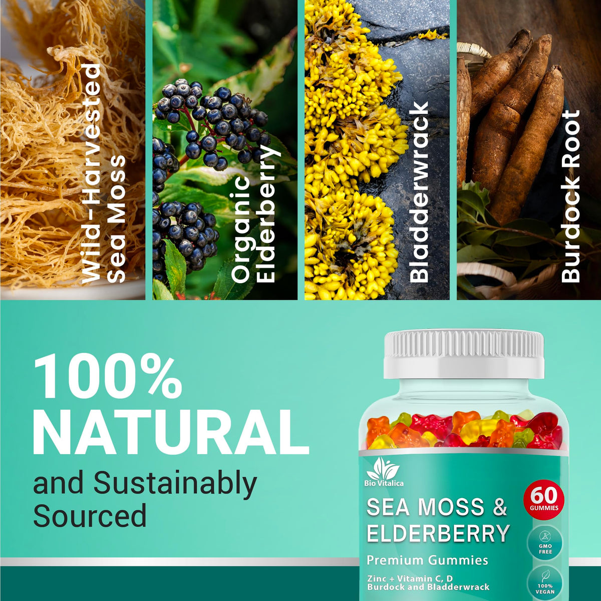 Détail des gummies BIO VITALICA, texture et couleur