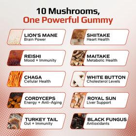 Détail des gummies champignons Effective Nutra