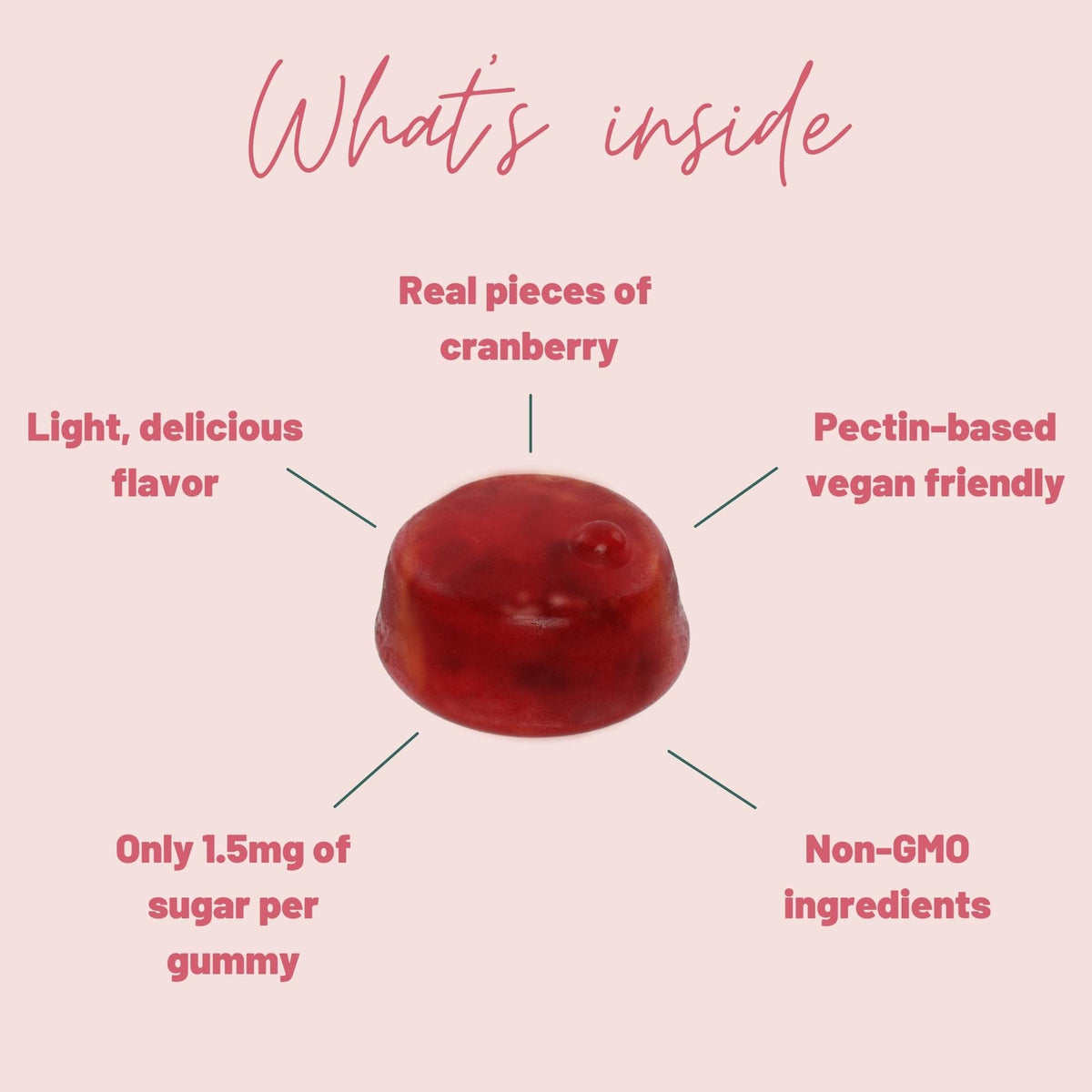 Détail des gummies cranberry Mother Nutrient avec une cuillère