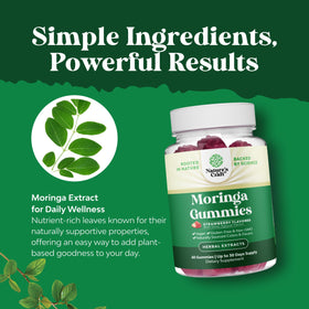 Détail des gummies Moringa Natures Craft, texture et couleur