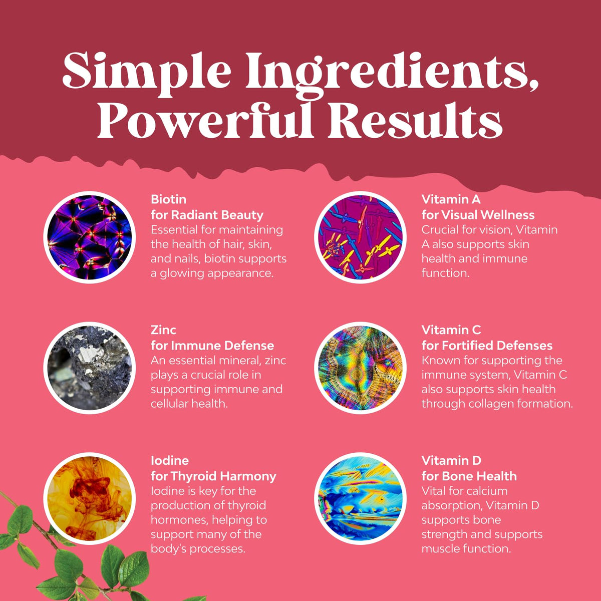 Détail des gummies multivitamines Natures Craft, texture et couleur