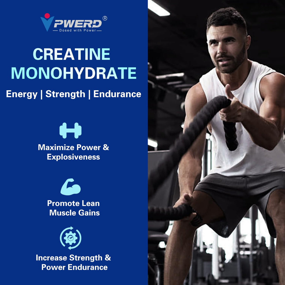 Détail des Gummies PWERD de Créatine Monohydrate avec myrtille