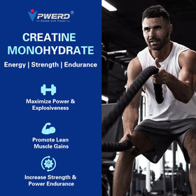 Détail des Gummies PWERD de Créatine Monohydrate avec myrtille