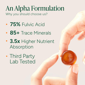 Détail des gummies Shilajit ROOT LABS avec texture claire