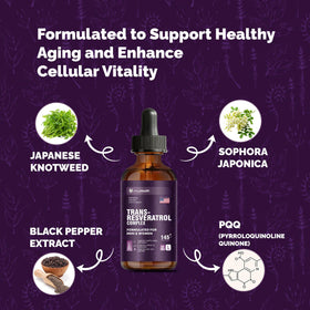 Détail des ingrédients actifs du Trans-Resveratrol MagHealth