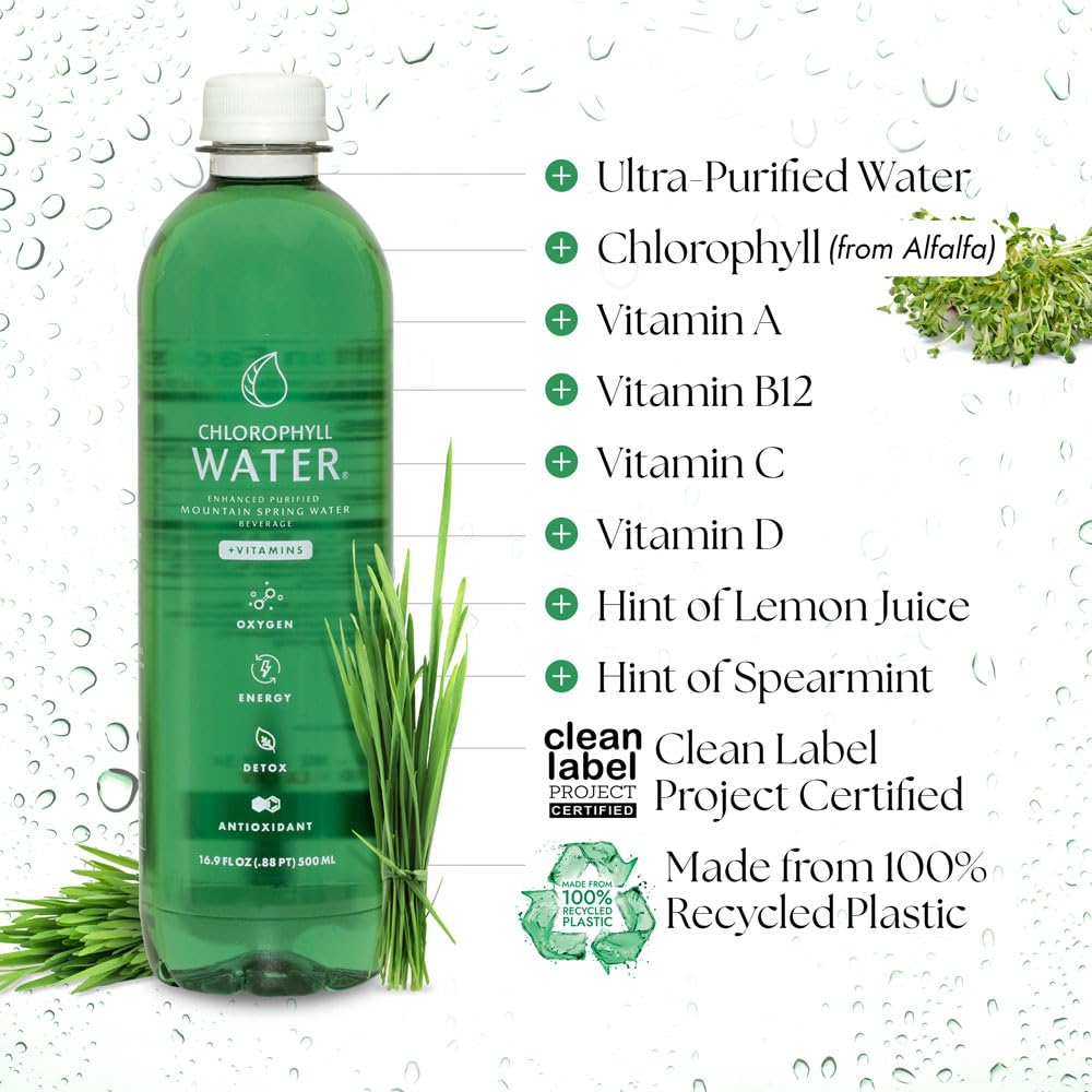 Détail des ingrédients de Chlorophyll Water avec menthe et citron