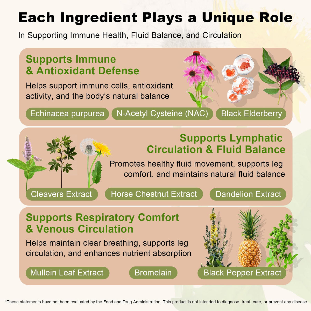 Détail des ingrédients de CleverasHealth Drainage Lymphatique