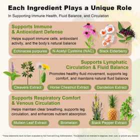 Détail des ingrédients de CleverasHealth Drainage Lymphatique