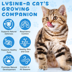 Détail des ingrédients de L-Lysine pour Chats