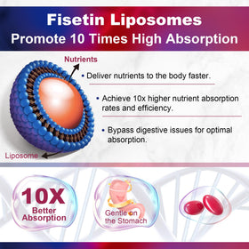Détail des ingrédients de LILICARE Fisetin 1200 mg Liposomal