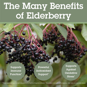 Détail des ingrédients des bonbons Quantum Elderberry+